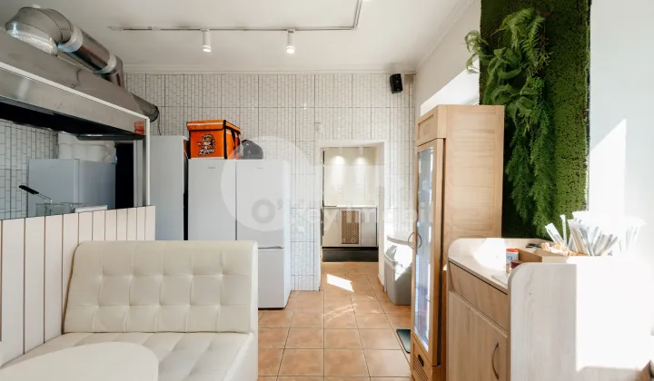 Spațiu comercial, Centru, ALEXANDR PUȘKIN