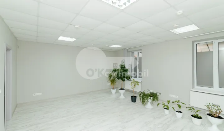 Oficiu, Centru, PETRU MOVILĂ