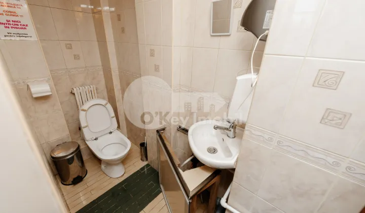 Spațiu comercial, Centru, MIRCEA ELIADE