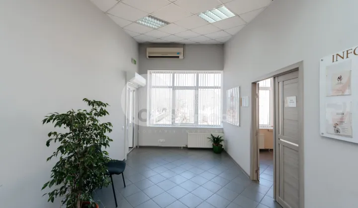 Oficiu, Botanica, DACIA