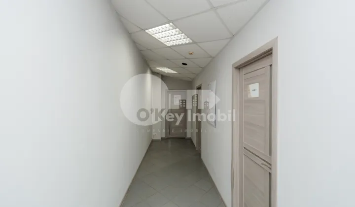 Oficiu, Botanica, DACIA