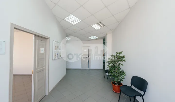 Oficiu, Botanica, DACIA