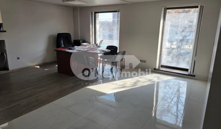 Oficiu, Centru, GRIGORE VIERU