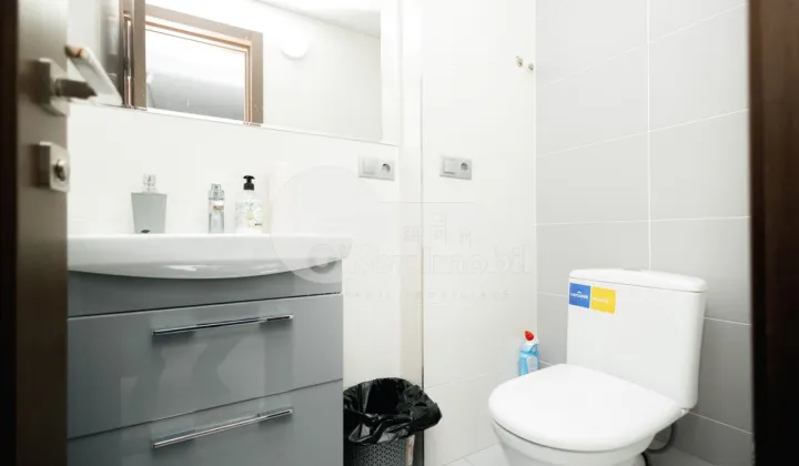 Oficiu, Centru, GRIGORE VIERU