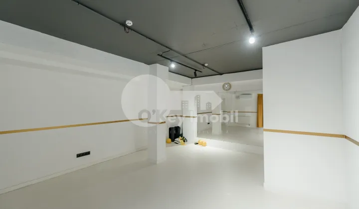 Spațiu comercial, Centru, PAN HALIPPA