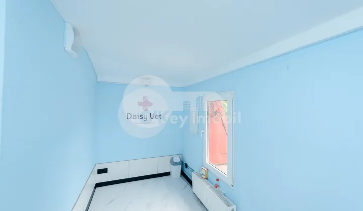 Spațiu comercial, Centru, VASILE ALECSANDRI