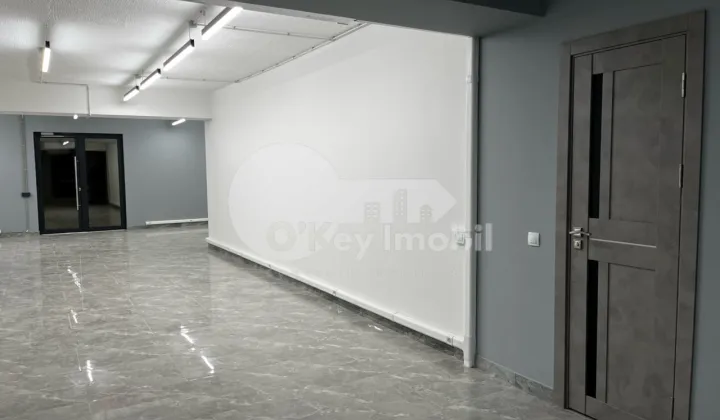 Oficiu, Botanica, DECEBAL