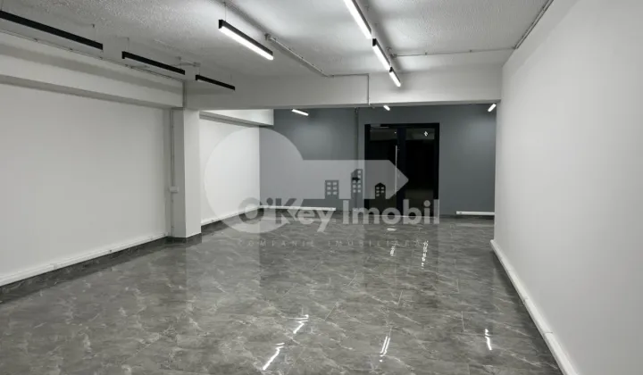 Oficiu, Botanica, DECEBAL