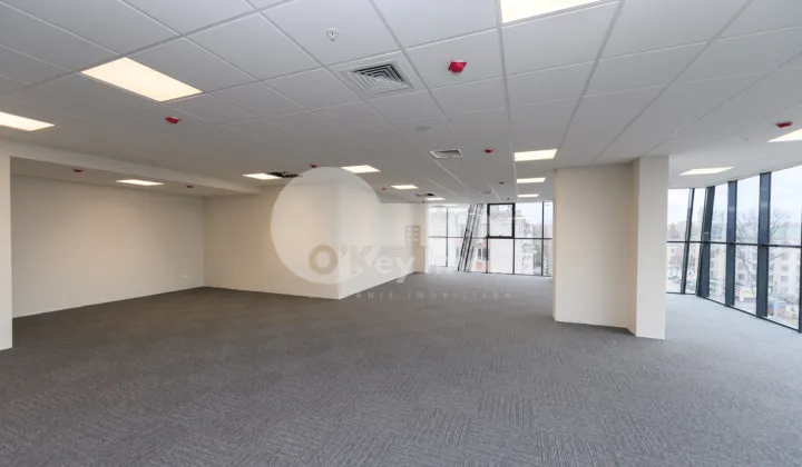 Oficiu, Centru, MIHAI VITEAZUL