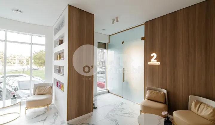 Spațiu comercial, Centru, ION NISTOR