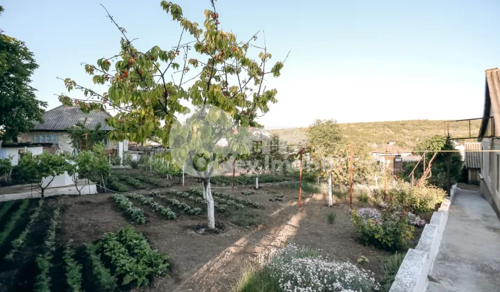 Casă, MILEȘTII MICI