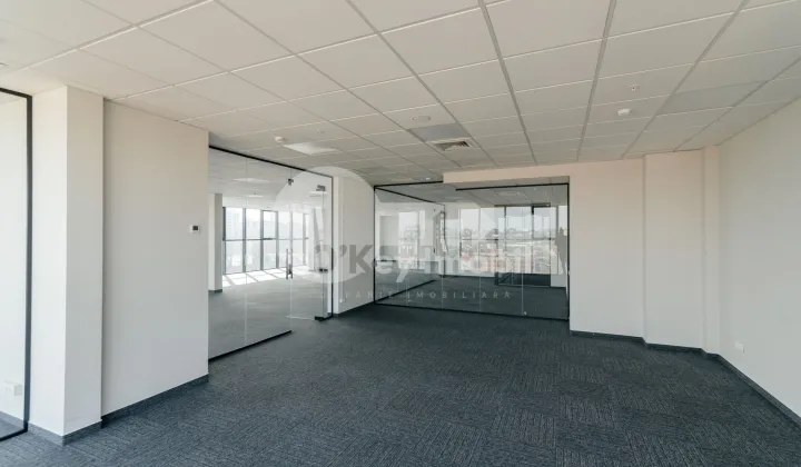 Oficiu, Centru, MIHAI VITEAZUL