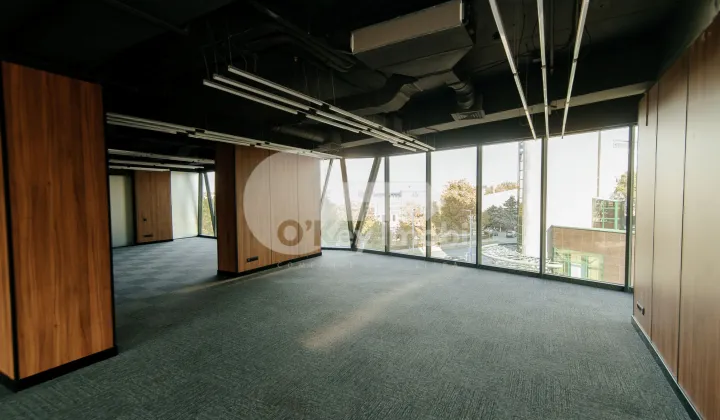 Oficiu, Centru, ȘTEFAN CEL MARE