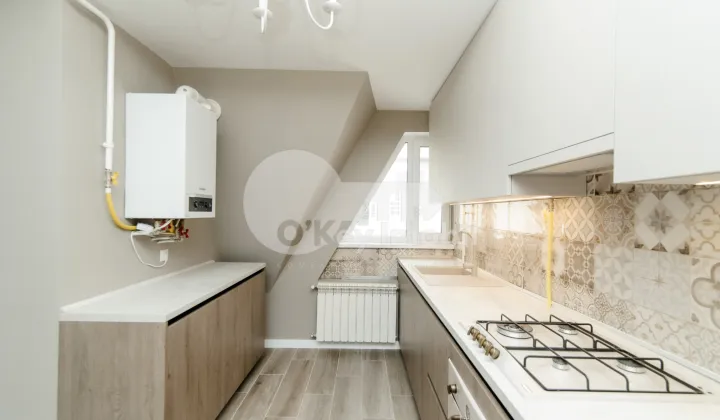 Apartament, Centru, VLAICU PÂRCĂLAB