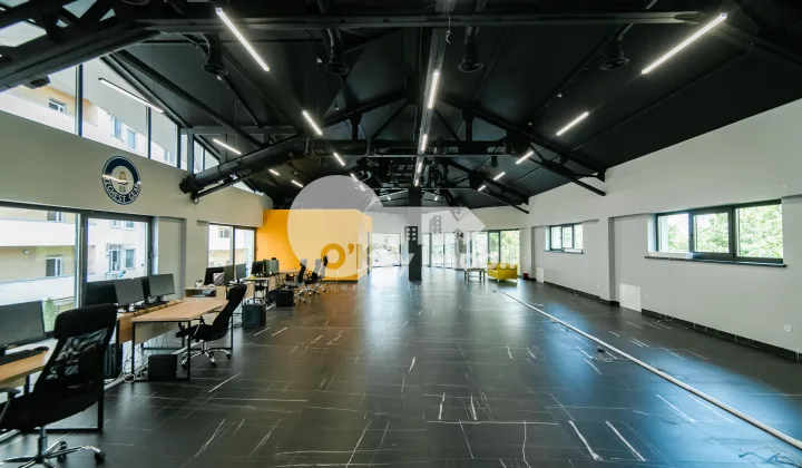 Spațiu comercial, Centru, NICOLAE TESTEMIȚANU