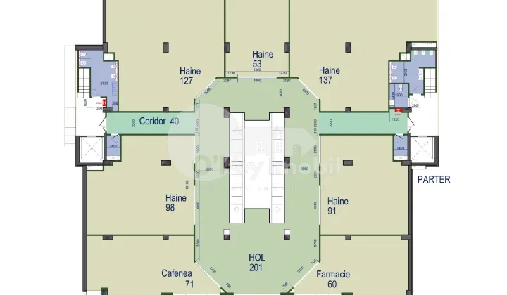 Spațiu comercial, Râșcani, GRIGORE VIERU