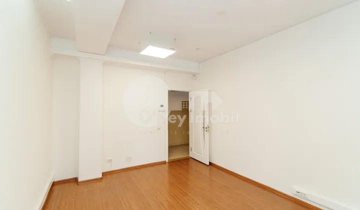 Oficiu, Centru, ALEXEI MATEEVICI