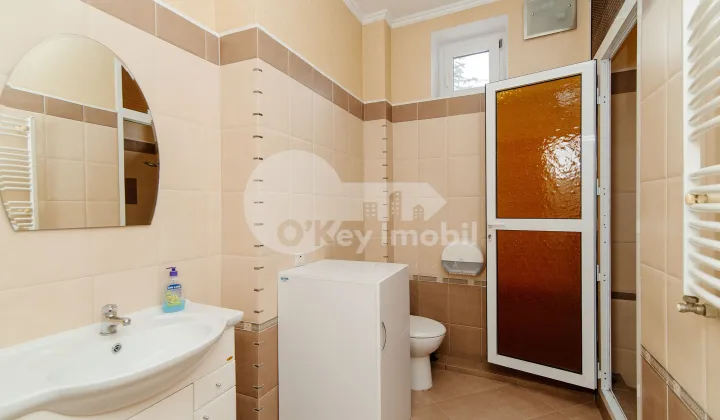 Oficiu, Centru, ALEXEI MATEEVICI