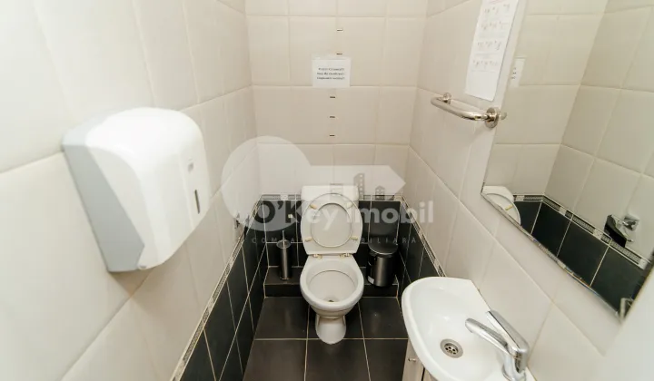 Oficiu, Centru, ALEXEI MATEEVICI