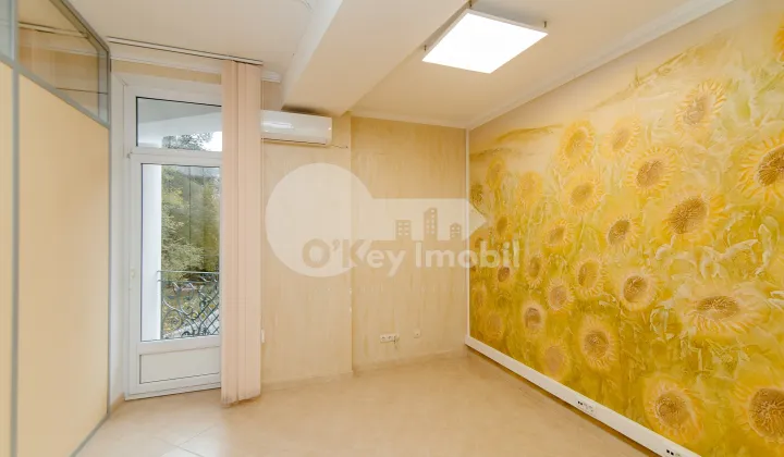 Oficiu, Centru, ALEXEI MATEEVICI