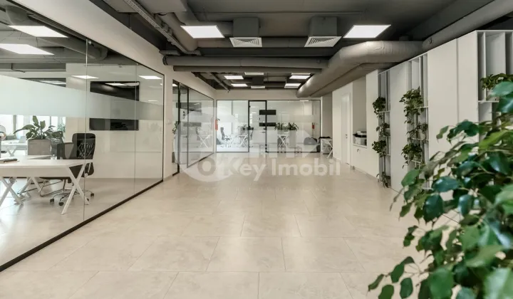 Oficiu, Centru, PETRU MOVILĂ