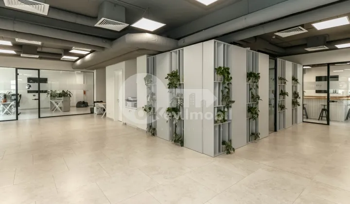 Oficiu, Centru, PETRU MOVILĂ