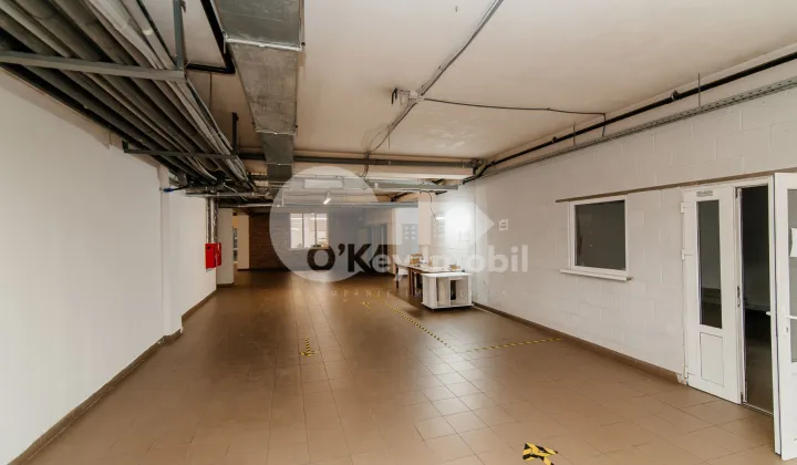 Depozit, Râșcani, ALBIȘOARA