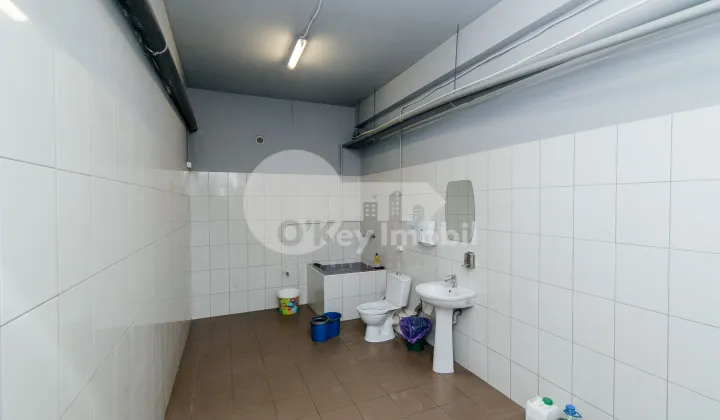 Depozit, Râșcani, ALBIȘOARA