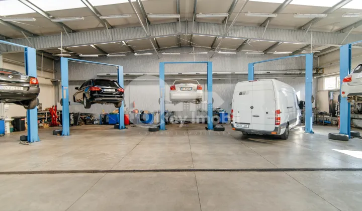 Afacere activă, BOTANICA