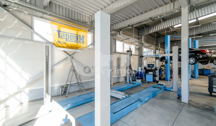 Afacere activă, BOTANICA