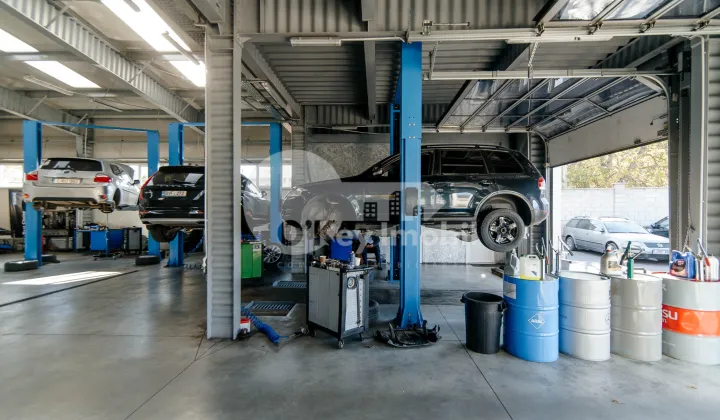 Afacere activă, BOTANICA