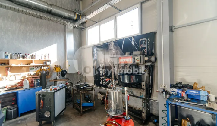 Afacere activă, BOTANICA