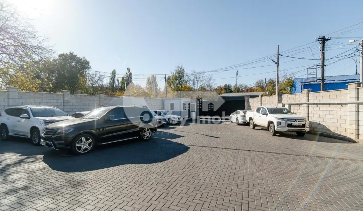 Afacere activă, BOTANICA