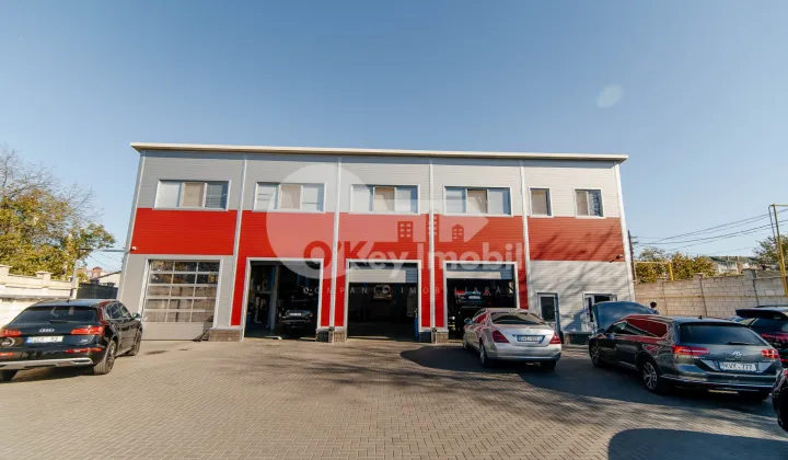 Afacere activă, BOTANICA