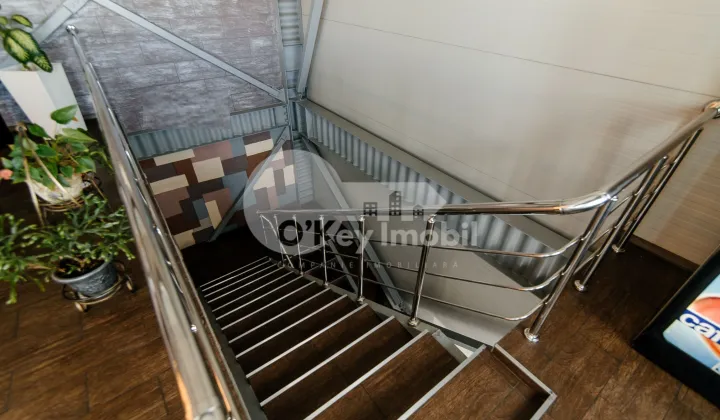 Afacere activă, BOTANICA