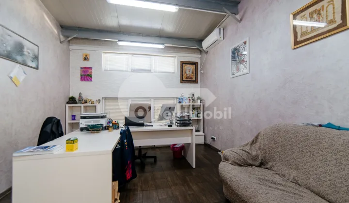 Afacere activă, BOTANICA