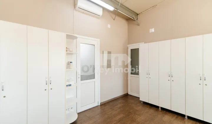 Afacere activă, BOTANICA