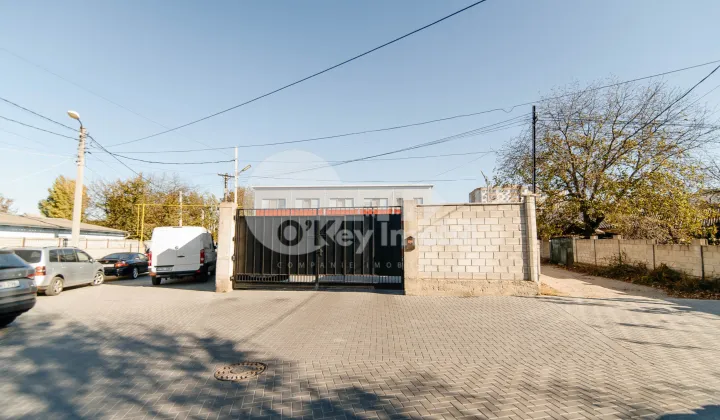 Afacere activă, BOTANICA