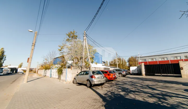 Afacere activă, BOTANICA