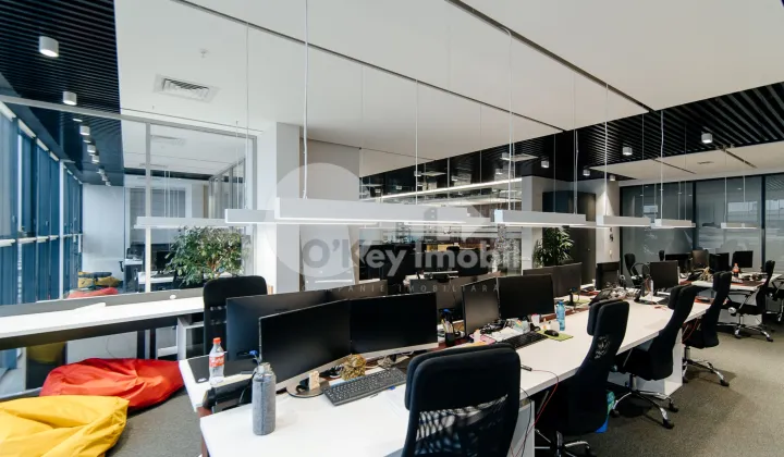 Oficiu, Centru, MIHAI VITEAZUL