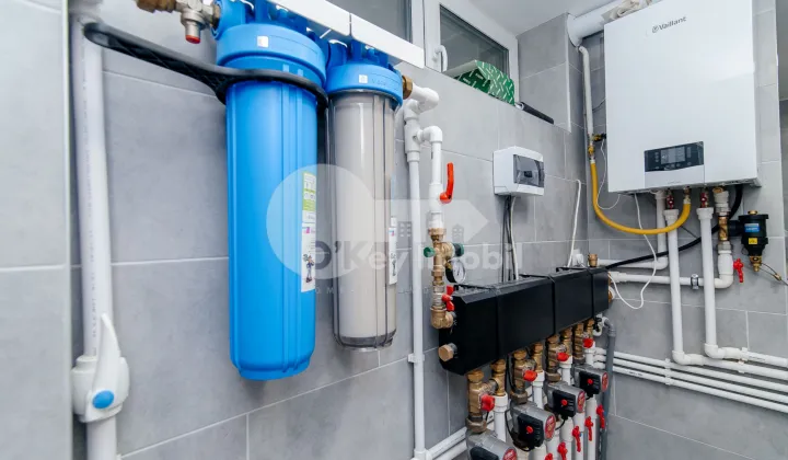 Casă, Botanica, PĂȘUNILOR